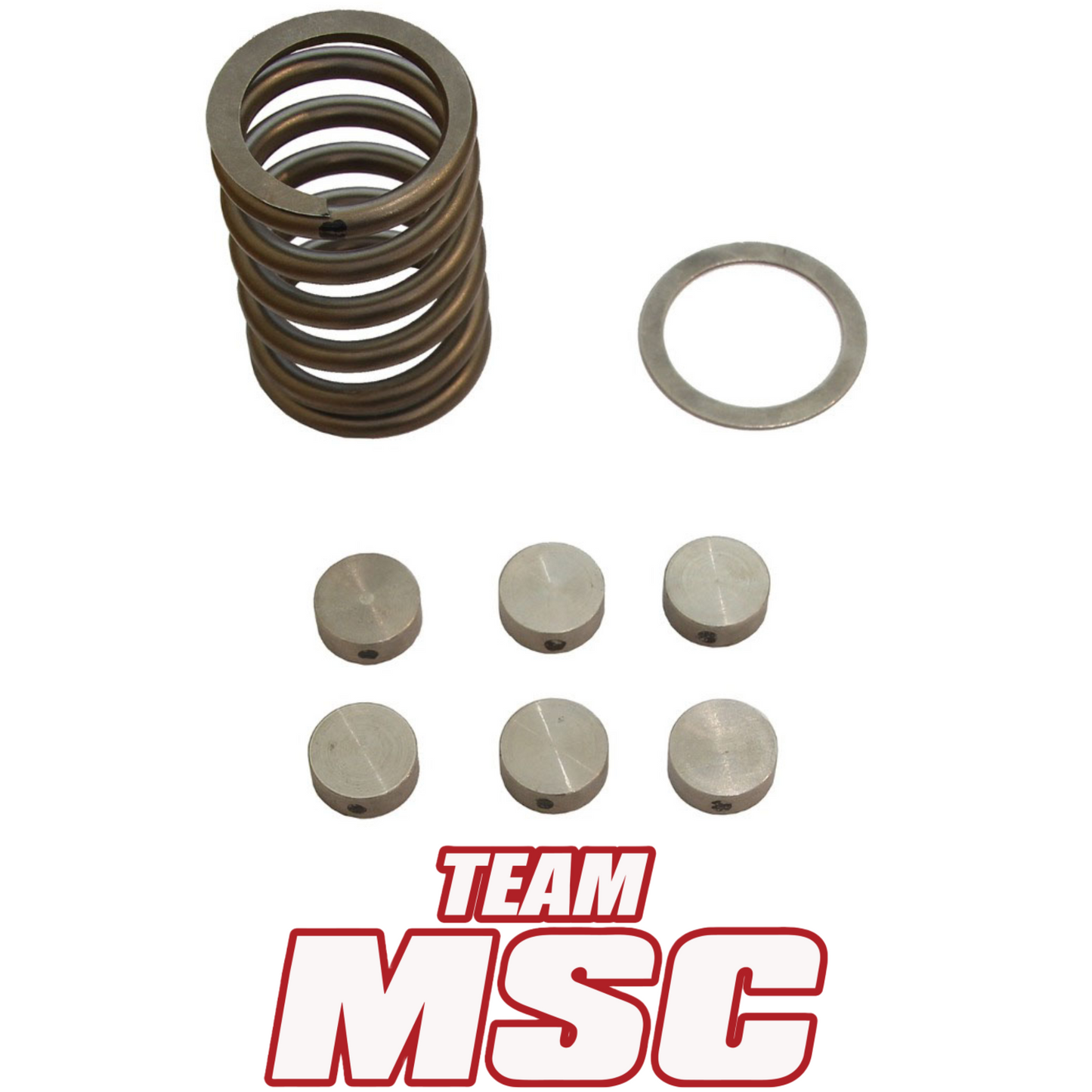 TEAM MSC STAGE 1 CLUTCH KIT - SEGWAY SNARLER 570