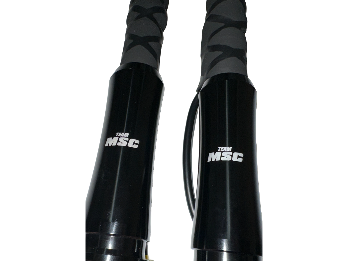 TEAM MSC - LED WHIP LIGHTS - PAIR